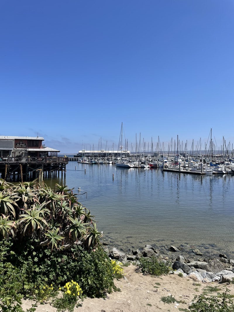 Monterey Marina
